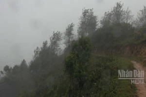 [Video] Bắc Bộ sắp đón đợt rét mới, vùng núi có nơi rét đậm