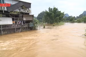 [Video] Mưa lũ gây nhiều thiệt hại tại tỉnh Cao Bằng