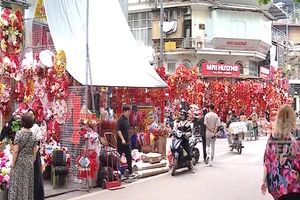 [Video] Nhộn nhịp mùa mua sắm Tết Bính Ngọ