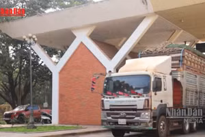 [Video] Tiếp tục ngưng thực hiện Nghị định 46 về an toàn thực phẩm