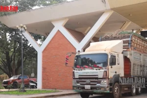 [Video] Tiếp tục ngưng thực hiện Nghị định 46 về an toàn thực phẩm