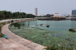 Hồ điều hòa Ngọc Thụy có dấu hiệu ô nhiễm sau thời gian đưa vào sử dụng. (Ảnh: HỒNG QUÂN)