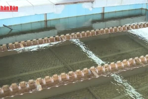 [Video] Bảo đảm cấp nước an toàn, chống thất thu, thất thoát nước sạch 