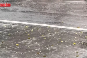 [Video] Không khí lạnh mạnh gây mưa lớn, Bắc Bộ và Bắc Trung Bộ chuyển rét 