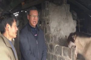 [Video] Ghi nhận mức nhiệt dưới 10 độ ở 17 tỉnh, thành 