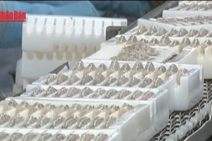 [Video] Xuất khẩu thủy sản lập kỷ lục 11,3 tỷ USD