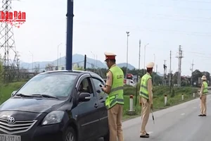 [Video] Nồng độ cồn tiếp tục là lỗi mắc nhiều nhất trong ngày mùng 2 Tết