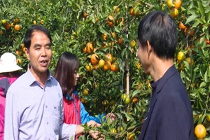 [Video] Hà Nội thu 2 tỷ USD từ xuất khẩu nông nghiệp