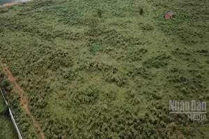 [Video] Bổ sung quy định hồ sơ miễn, giảm tiền thuê đất