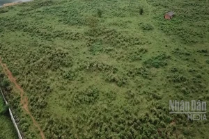 [Video] Bổ sung quy định hồ sơ miễn, giảm tiền thuê đất