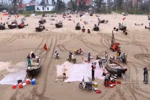 [Video] Ngư dân Hà Tĩnh trúng đậm hải sản mùa cao điểm