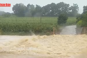 [Video] Bảo đảm an toàn công trình thủy lợi trước mưa lũ 