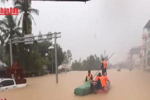 [Video] Khẩn cấp hỗ trợ miền Trung, Tây Nguyên khắc phục hậu quả lũ lụt