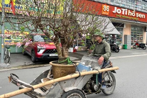 Với nhiều người lao động, Tết là dịp để họ có thể kiếm thêm thu nhập lo cho cuộc sống gia đình.