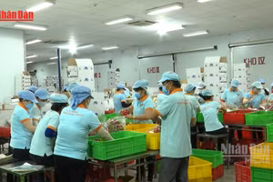 [Video] Duy trì đà tăng trưởng xuất khẩu nông sản