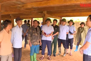 [Video] Chủ động di dời dân khỏi vùng nguy cơ sạt lở tại Điện Biên 
