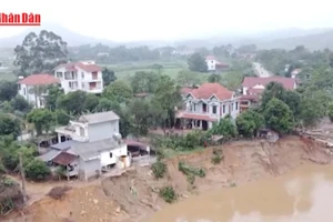 [Video] Yêu cầu xử lý khẩn cấp sự cố sạt lở bờ sông Lô