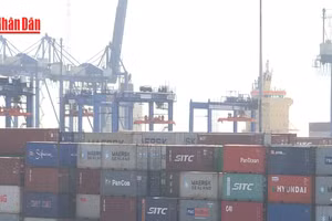 [Video] Xuất khẩu nông lâm thủy sản quý I/2026 đạt 16,69 tỷ USD