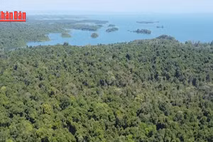 [Video] Lấy nước hồ Dầu Tiếng, hồ Trị An đẩy mặn cho TP Hồ Chí Minh