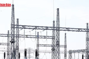 [Video] Cần Thơ sẽ tiếp thêm 271 triệu kWh điện xanh mỗi năm cho đất nước 