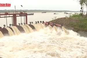 [Video] Chuẩn bị lấy nước từ hồ chứa sản xuất vụ Đông Xuân