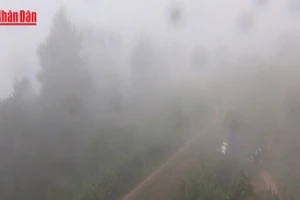 [Video] Bắc Bộ trở rét, vùng núi cao rét đậm trong ngày 3/12