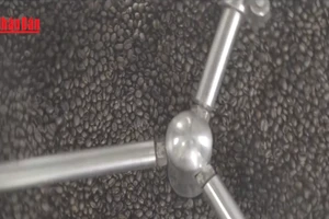 [Video] Giá cà phê và gạo chịu sức ép do nguồn cung tăng