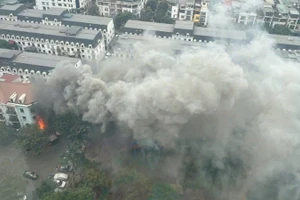 Trong tháng 1 năm 2026, toàn quốc xảy ra 258 vụ cháy, 3 vụ nổ,