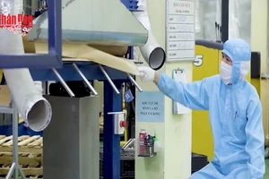 [Video] Các ngành nghề được dự báo “khát” lao động sau Tết 2026