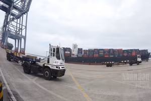 [Video] TP Hồ Chí Minh sắp ra mắt hệ sinh thái trung tâm tài chính hàng hải 