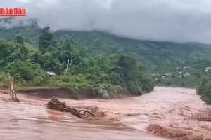 [Video] Mưa lớn gây thiệt hại về người và tài sản tại Lai Châu 