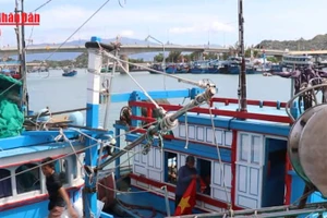 [Video] Khánh Hòa, Lâm Đồng cấm biển ứng phó bão số 15