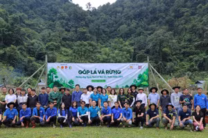 Chương trình “Góp lá vá rừng 2026” hướng tới phục hồi 72ha rừng tự nhiên. (Ảnh: THẾ CƯỜNG)