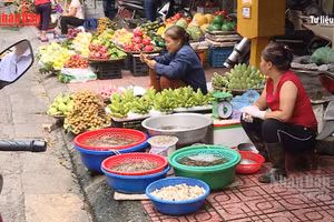 [Video] Hà Nội tăng cường quản lý, điều hành và bình ổn giá những tháng cuối năm 2026 