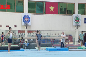 [Video] Các đội tuyển quốc gia tăng tốc chuẩn bị cho SEA Games 33