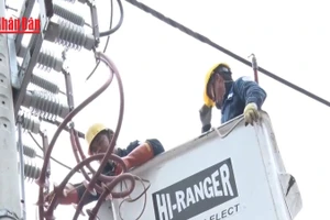 [Video] Điện lực TP Hồ Chí Minh bảo đảm cung cấp điện dịp Noel 2025 và Tết Dương lịch 2026