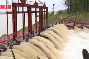 [Video] Hà Nội sẵn sàng cho đợt lấy nước đổ ải vụ Đông Xuân năm 2026 