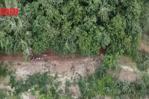 [Video] Tỉnh Đồng Nai khẩn trương đẩy nhanh tiến độ thi công 2 dự án cao tốc 