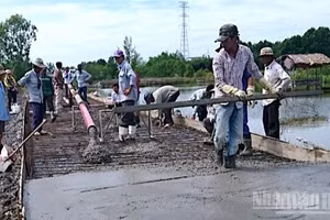 Tranh thủ thời tiết thuận lợi, nhiều nhà thầu thi công công trình giao thông tại Cà Mau đẩy nhanh nhằm bù đắp tiến độ trong điều kiện khó khăn.