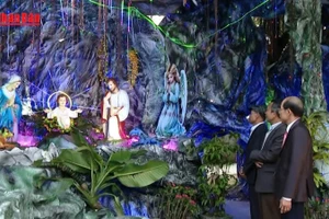 [Video] Ninh Bình lung linh chào đón Giáng sinh