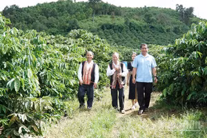 Đội ngũ già làng, trưởng thôn, người có uy tín trong đồng bào dân tộc thiểu số ở Quảng Ngãi thể hiện rõ vai trò cầu nối giữa cấp ủy, chính quyền với đồng bào các dân tộc, góp phần xây dựng hệ thống chính trị tại địa phương. (Ảnh HIỂN CỪ)