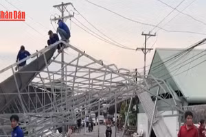 [Video] Dông lốc làm sập và tốc mái gần 50 căn nhà ở Đồng Tháp