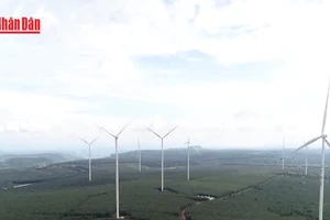 [Video] Nghị quyết 57 đòn bẩy thúc đẩy phát triển năng lượng tái tạo