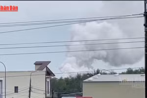 [Video] Quảng Ngãi dừng hoạt động Nhà máy Wood Pellets để khắc phục ô nhiễm khí CO 