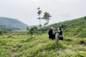 Nhiều cá nhân, tổ chức có diện tích đất nằm trong diện quy hoạch của Vườn quốc gia Ba Vì nhưng hơn 20 năm vẫn chưa nhận được thông báo thu hồi đất cũng như đền bù, hỗ trợ theo quy định.