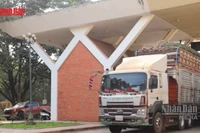 [Video] Tiếp tục ngưng thực hiện Nghị định 46 về an toàn thực phẩm