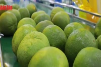 [Video] Xuất khẩu nông sản hướng tới những kỷ lục mới