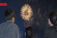 [Video] TP Hồ Chí Minh tổ chức 6 điểm bắn pháo hoa đón năm mới 2026 