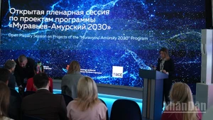 Một phiên họp trong khuôn khổ EEF-2025. (Ảnh: XUÂN HƯNG)