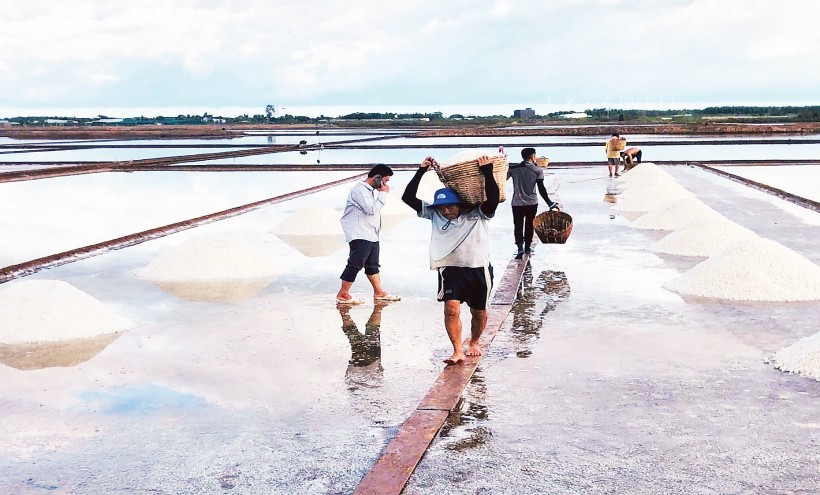 Làm muối là một nghề nặng nhọc, vất vả. (Ảnh THANH CƯỜNG)